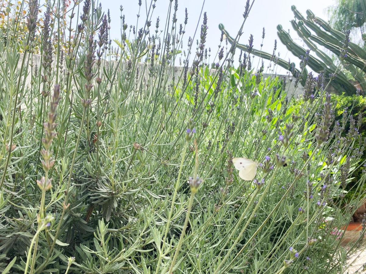 Il Giardino Di Bonagia Tonnara di Bonagia Exterior foto